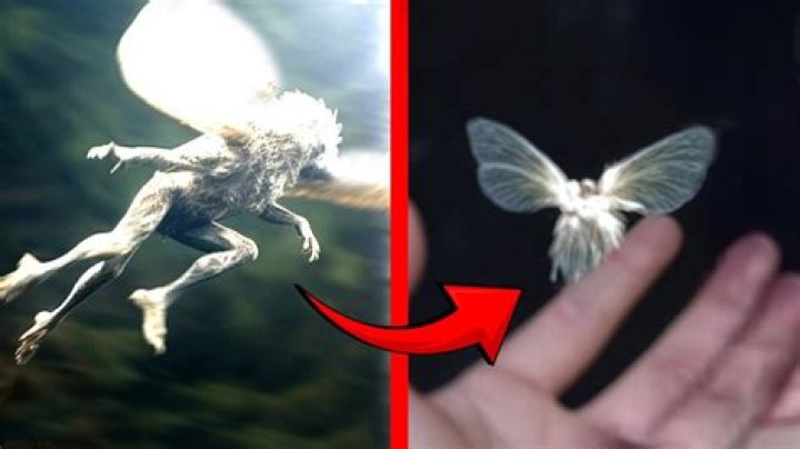 Can creatures with flying be attacked?