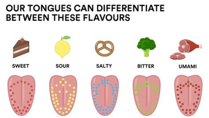 Which taste is most acceptable?